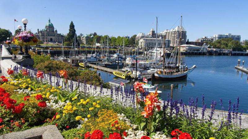 Best Coastal Walks to Welcome Spring Around Victoria and Oak Bay | DFH Real Estate