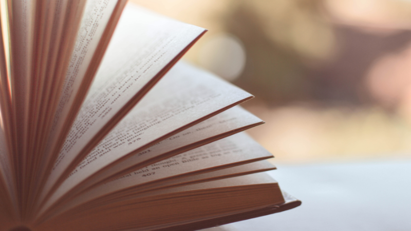 Find Your Next Summer Read at These Victoria Bookstores | DFH Real Estate