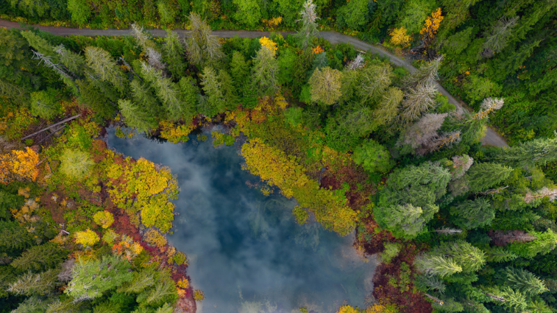Southern Vancouver Island Drives Perfect for Crisp Autumn Afternoons | DFH Real Estate
