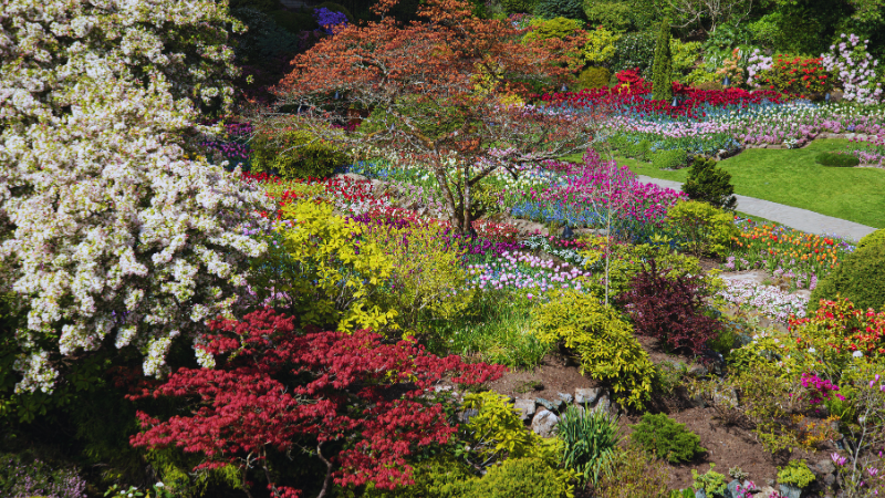 Victoria in Bloom: Gardens to Visit This Spring | DFH Real Estate